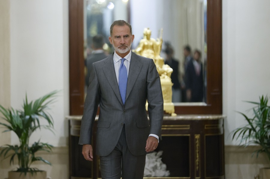 CONSULTAS REINADO FELIPE VI