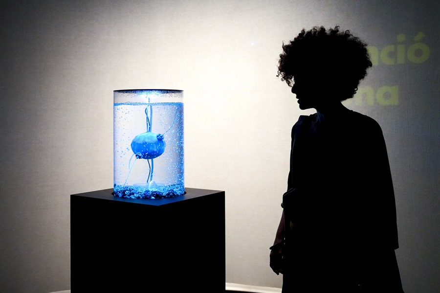 Imagen de archivo de la exposición sobre inteligencia artificial en el Centro de Cultura Contemporánea de Barcelona (CCCB) en octubre de 2023.