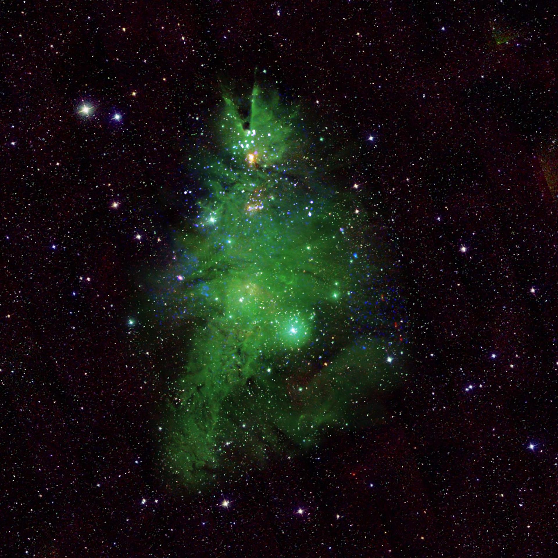 Imagen del grupo de estrellas con apariencia de un árbol de Navidad