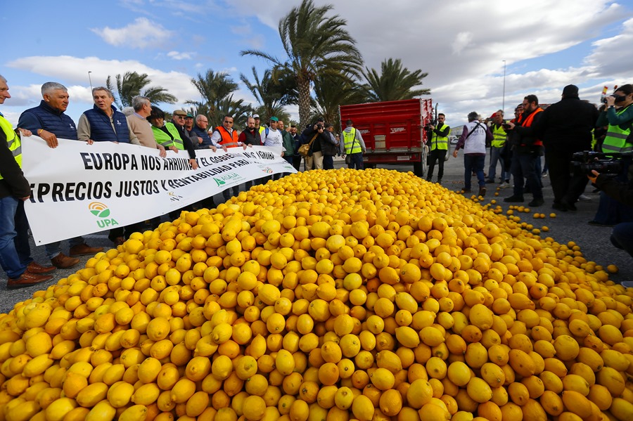 Agricultores de la comarca de la Vega Baja del Segura protestan en San Isidro de Albatera.