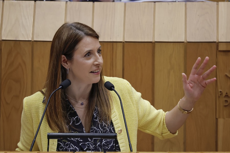 La conselleira del Medio Rural, María José Gómez