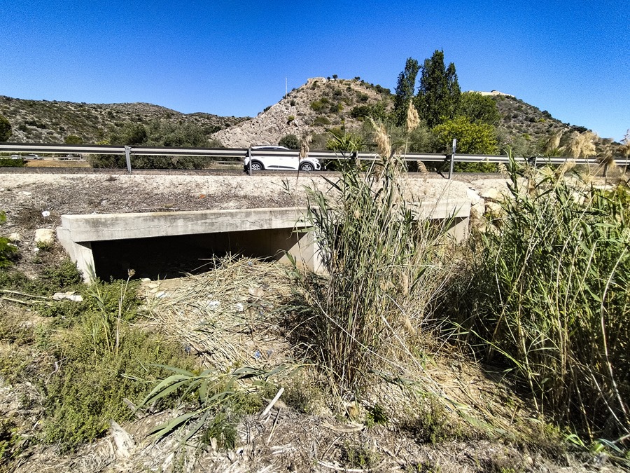 El cadáver de Ester Estepa, la mujer sevillana de 42 años