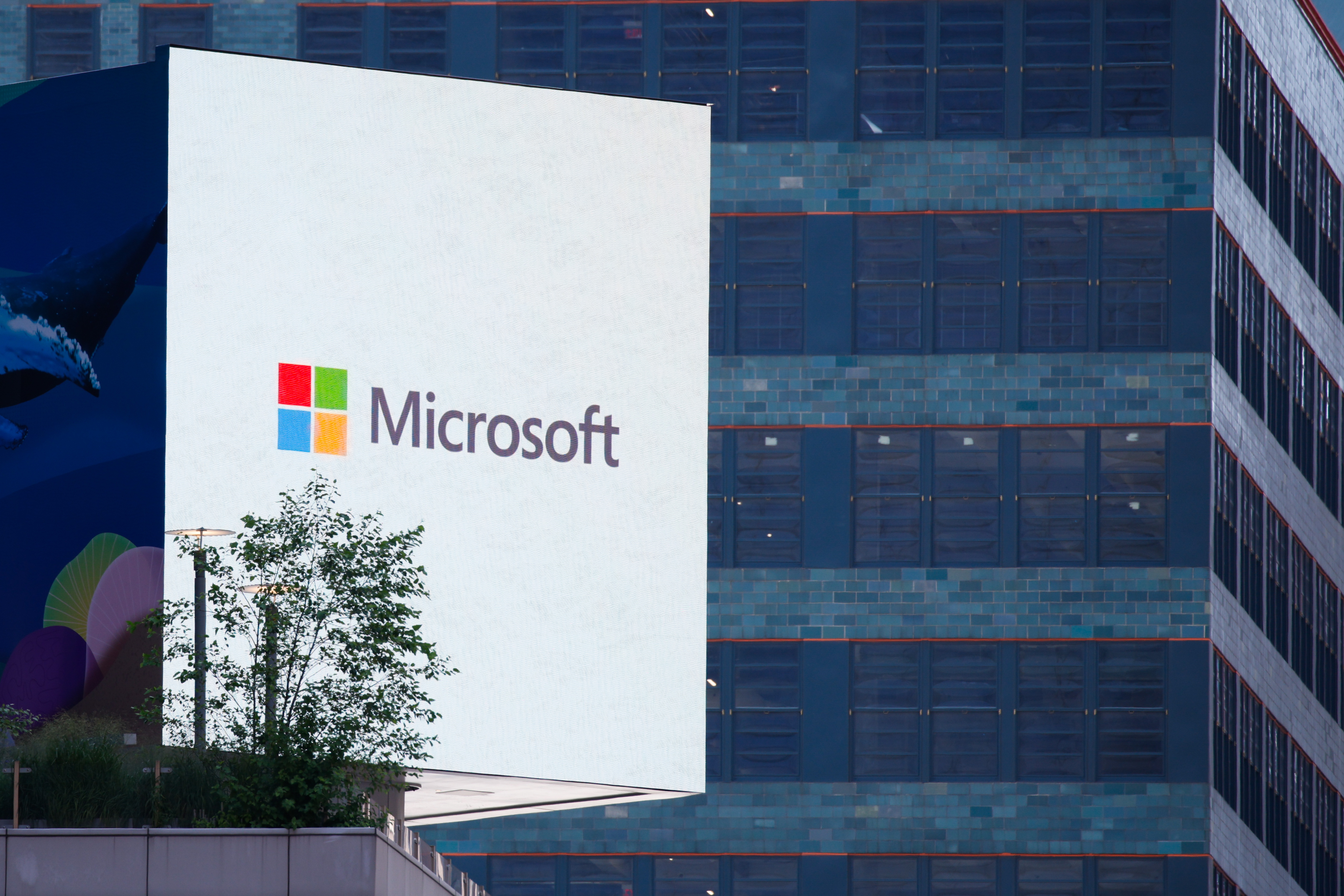 Microsoft