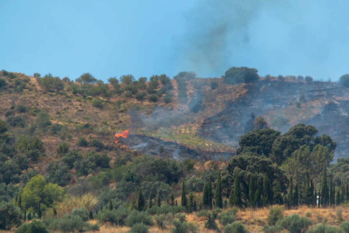 Incendio Almuñécar