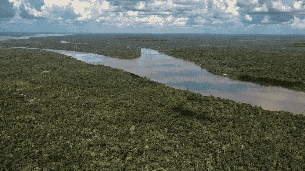Fotografía de archivo que muestra una vista aérea de una zona de la Floresta Amazónica, en el estado de Pará (Brasil).