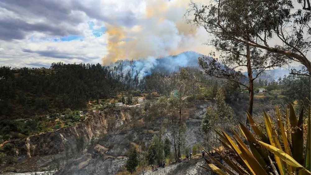 Fotografía de un incendio forestal, en Quito (Ecuador)