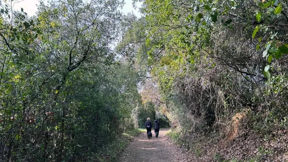 Unas personas caminan por un sendero de Aracena (Huelva).