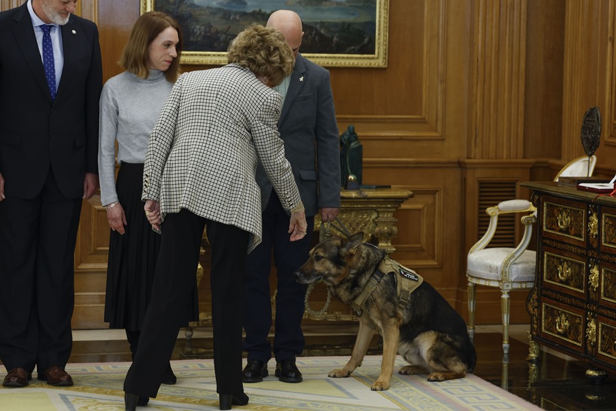 La reina emérita Sofía (de espaldas) recibe en audiencia a representantes de la Asociación Héroes de 4 patas