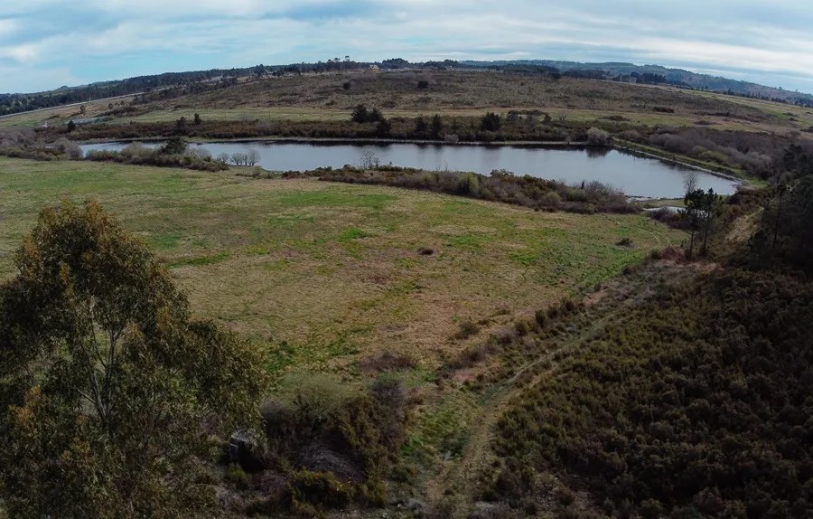 Vista aérea de la Laguna de Quintas, Rio Ulla, zona protegida de especial biodiversidad, en Palas de Rei (Galicia).