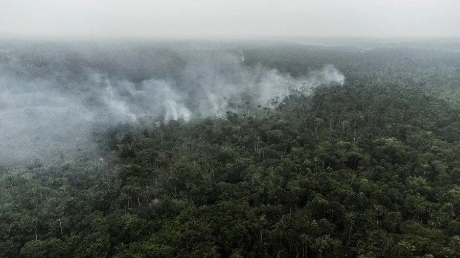 Justicia de Brasil autoriza la expropiación de tierras afectadas por incendios provocados