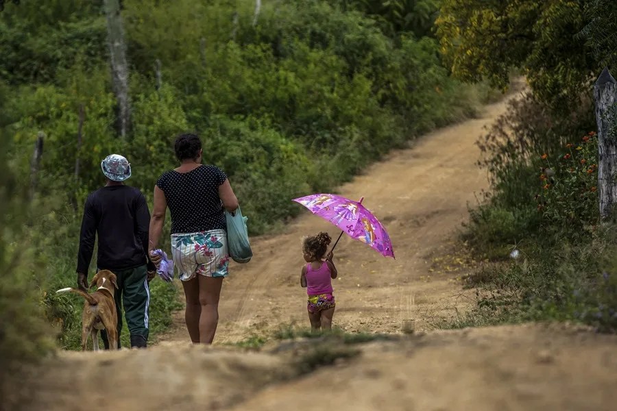 Brasil violencia