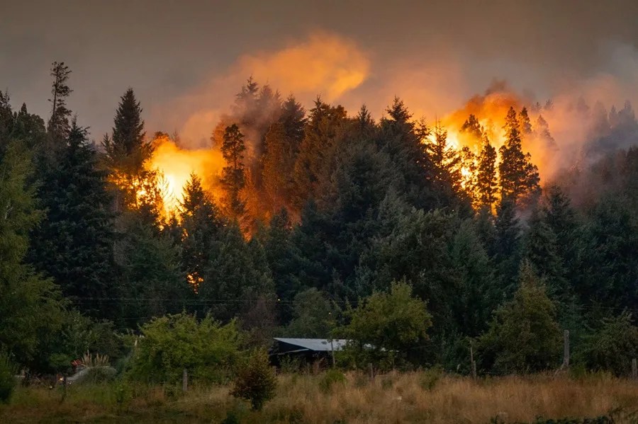 Fotografía de archivo cedida por GreenPeace de un incendio forestal en Neuquén (Argentina). . EFE/ Greenpeace