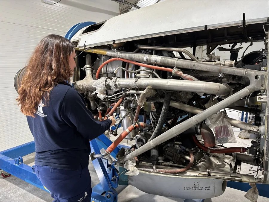 La FP Superior cobra fuerza como primera opción entre los estudiantes