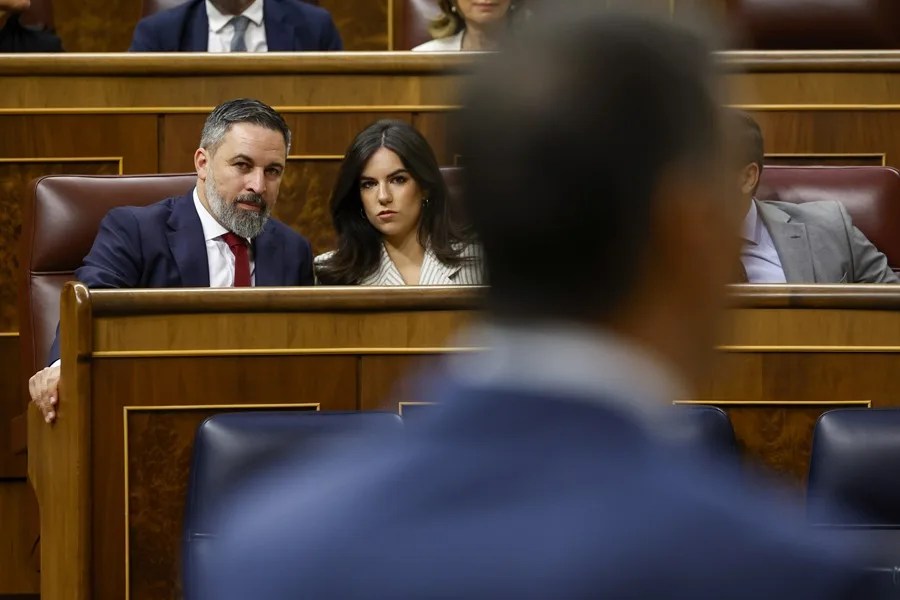 El líder de Vox, Santiago Abascal y la portavoz, Pepa Millán, durante de la sesión de control al Ejecutivo.