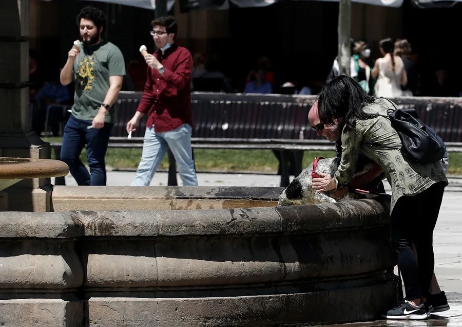 Dos personas refrescan a su perro en el agua