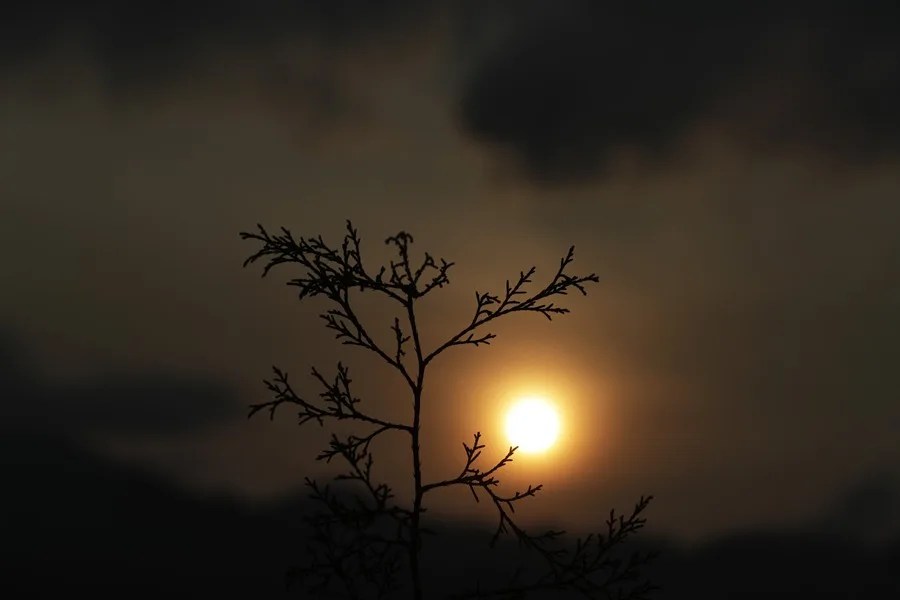 Vista del amanecer sobre un cerro