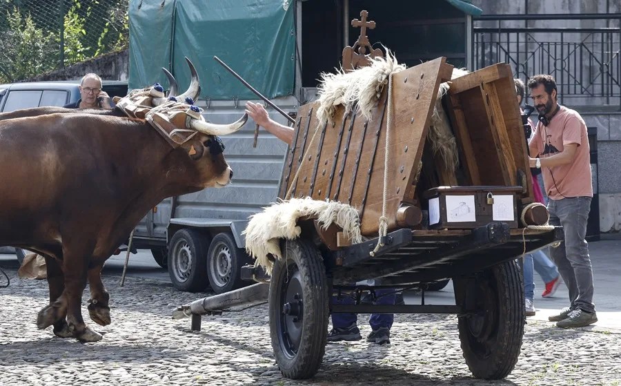 Un pastor prepara a los animales antes de comenzar la peregrinación de siete jornadas