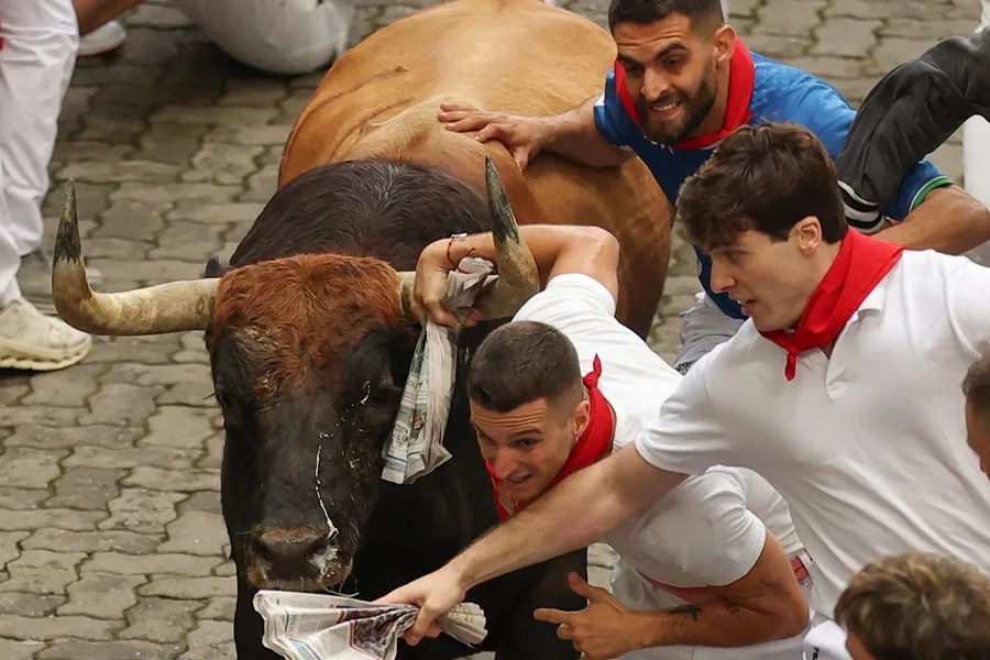 Mozos son perseguidos por uno de los toros de la ganadería gaditana de Fuente Ymbro