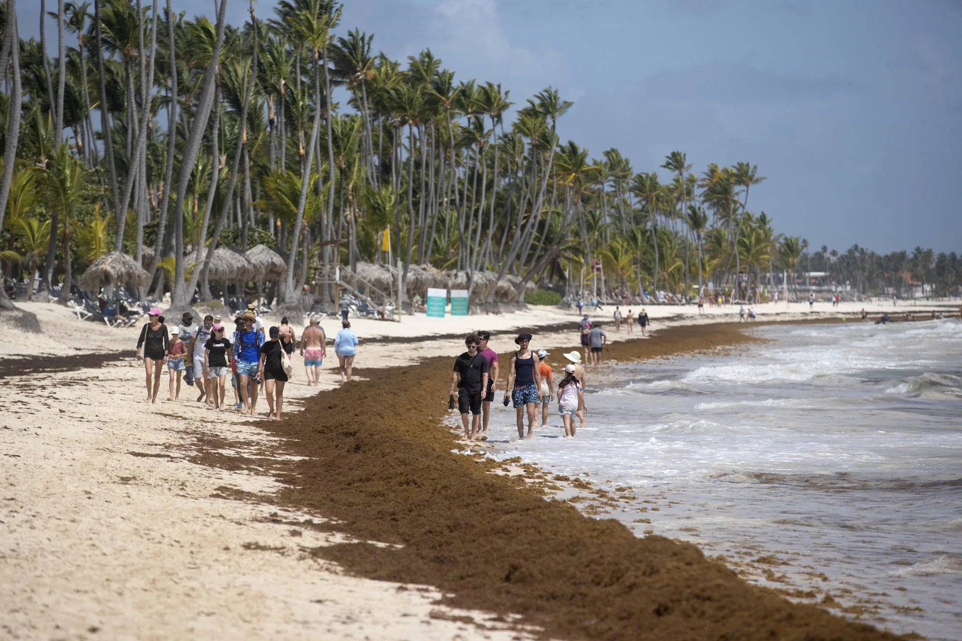 People walk past sargassum clumped in the sand on July 9, 2025 in Punta Cana, Dominican Republic. Jul. 14, 2025. EFE/Orlando Barría