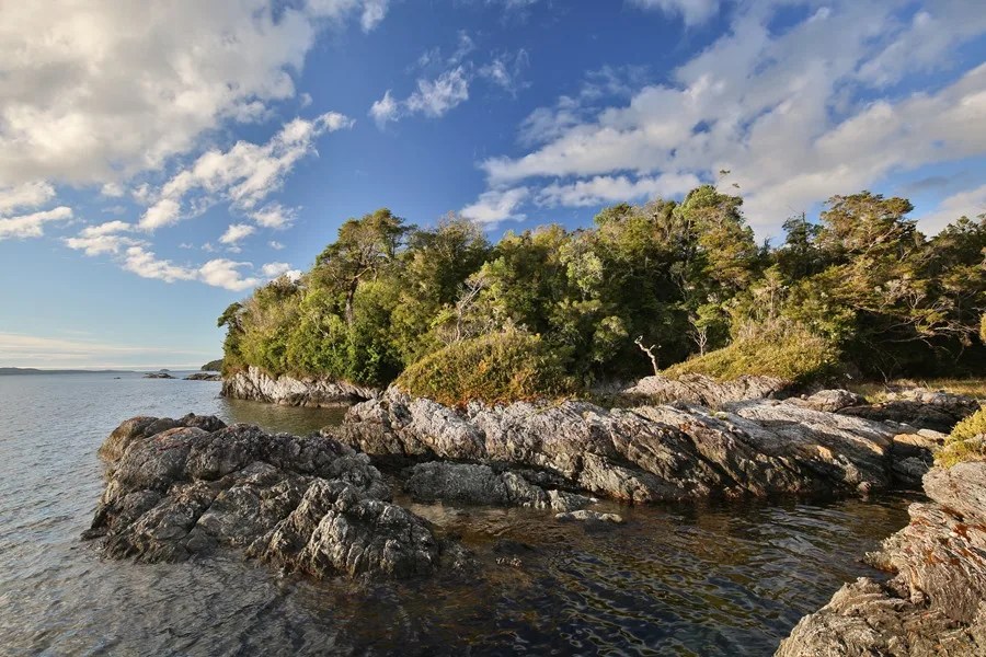 Guafo, el santuario insular que Di Caprio compró en Chile para protegerlo
