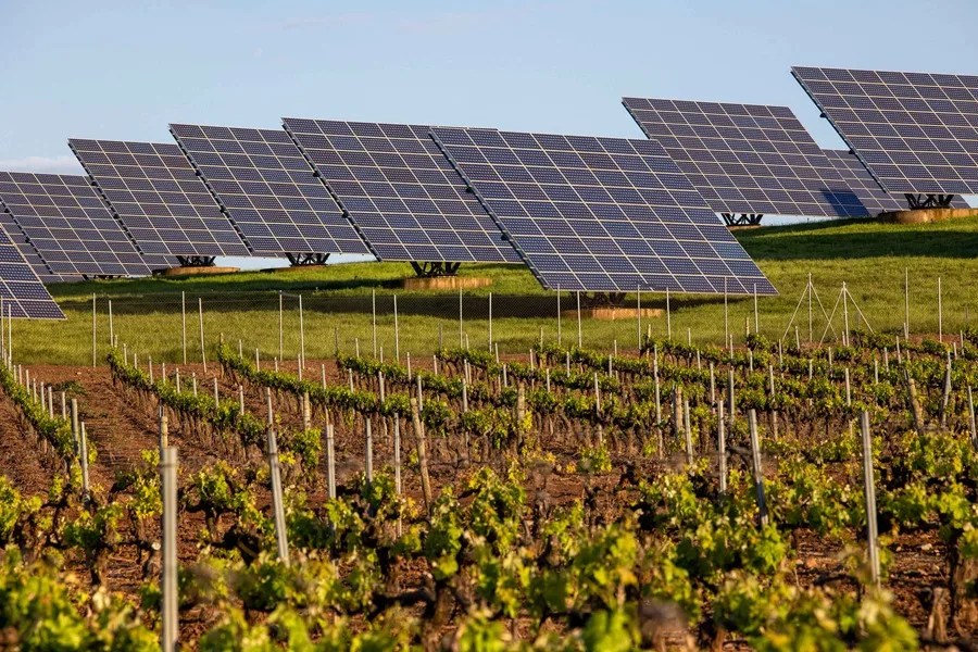 Campos de placas solares junto a campos de viñedos en la localidad riojana de Alesanco.
