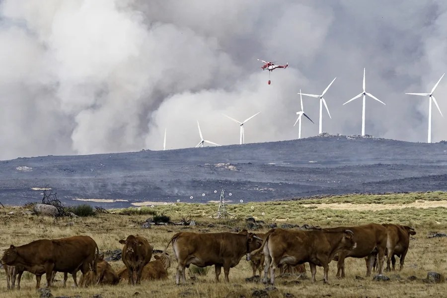 Medios aéreos intentan apagar las llamas del incendio de Urraca-Miguel, barrio anexionado de Ávila