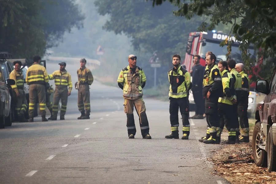 Brigadas y bomberos de Alicante y Valencia, asisten para colaborar en la extinción del incendio forestal en Igüeña y Colinas del Campo.