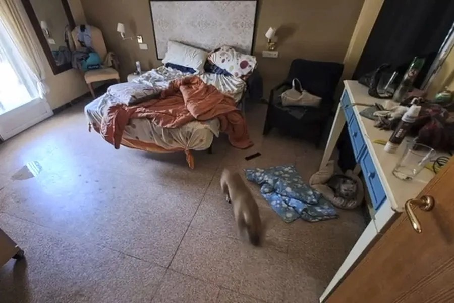 Captura del video de la Policía Nacional tomado en la vivienda de Elche (Alicante)