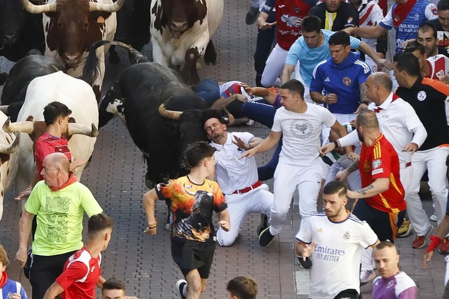 ENCIERRO SAN SEBASTIAN DE LOS REYES