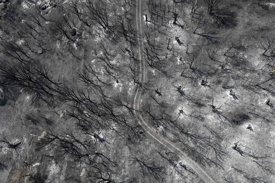 Superficie calcinada por el peor incendio de la historia de Galicia