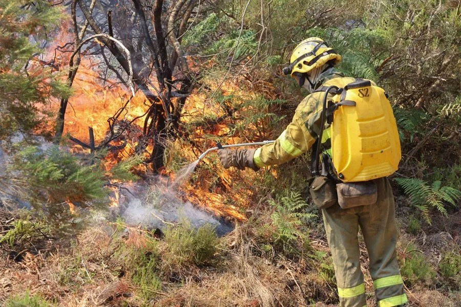Bomberos trabajan en la extinción del incendio este jueves, en las proximidades de La Alberca (Salamanca).