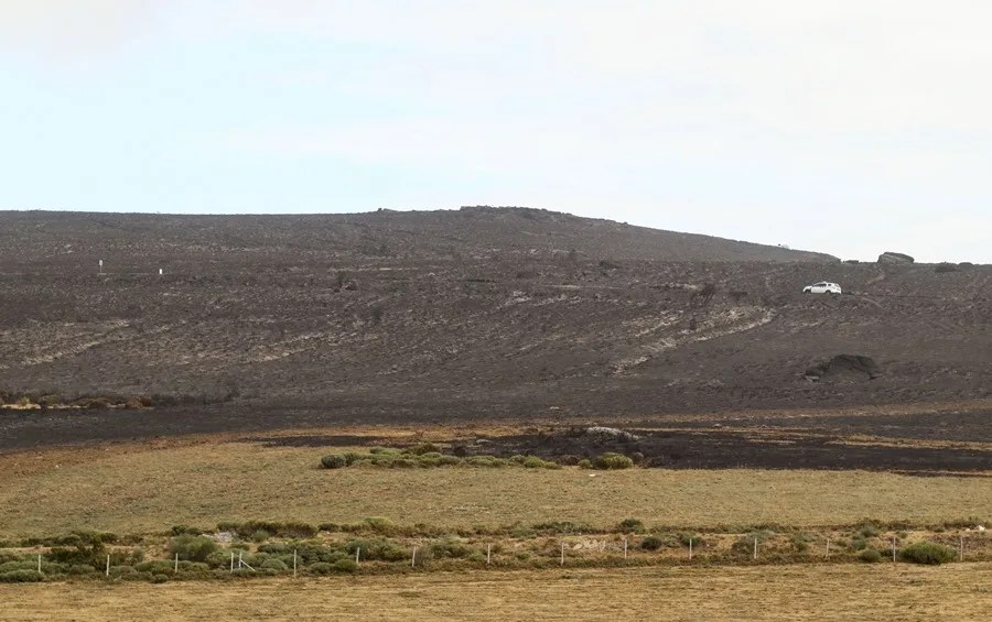Vista del campo tras el paso de un incendio en Zamora.esinos