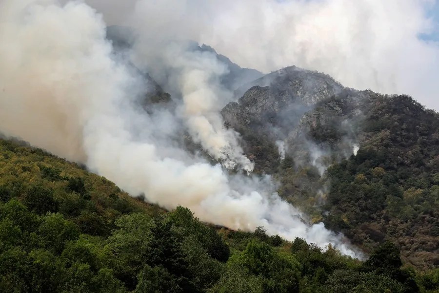 INCENDIOS FORESTALES