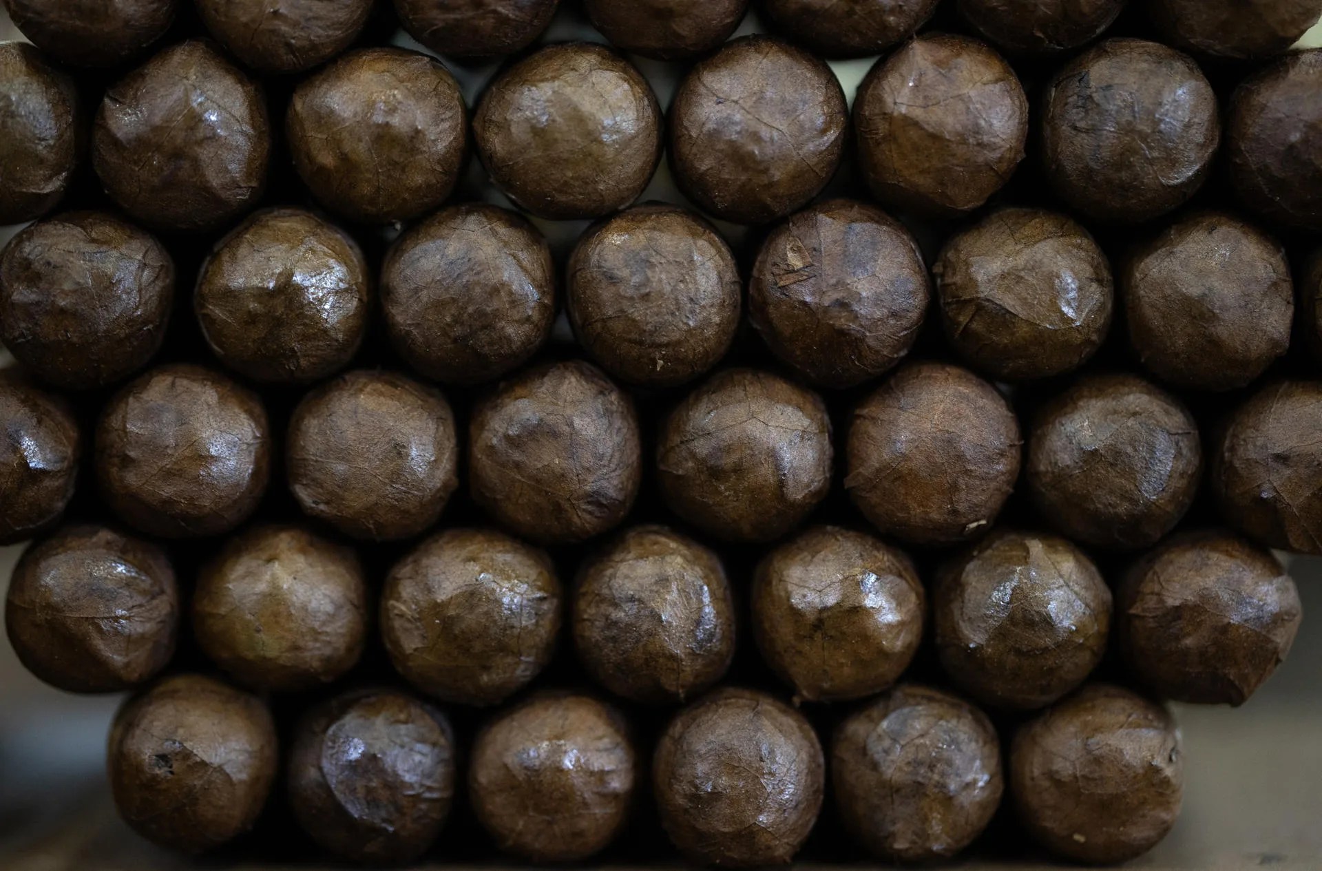 Cigars in production at the Quesada Cigars tobacco factory in Santiago (Dominican Republic). Aug. 1, 2025. EFE/ Orlando Barría
