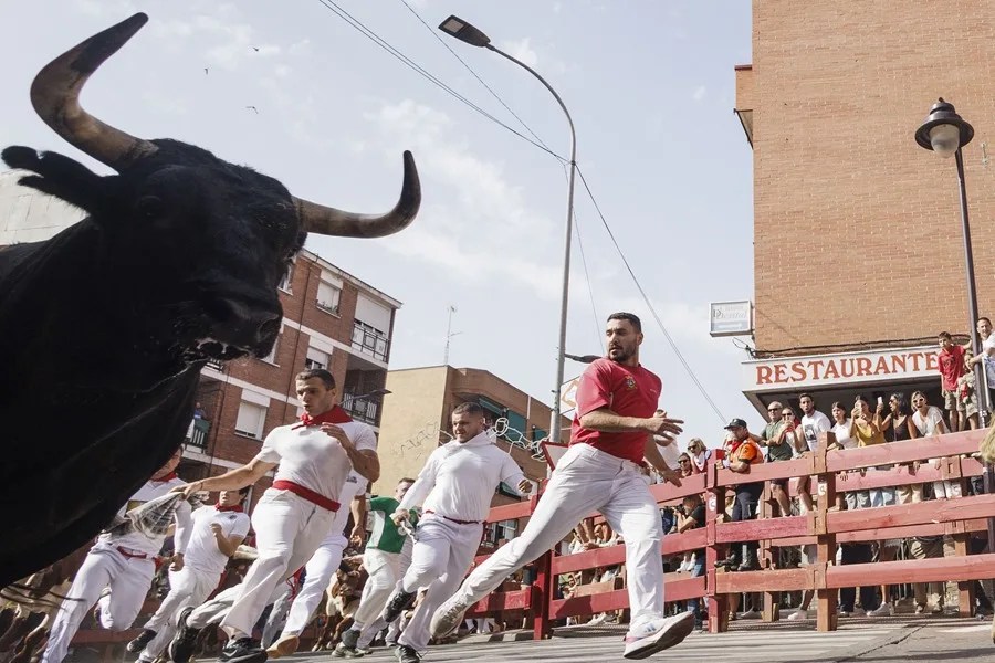 Mozos participan en el tercer encierro de San Sebastián de los Reyes