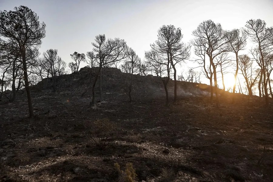 Incendio forestal declarado en una zona de difícil acceso de Teresa de Cofrentes