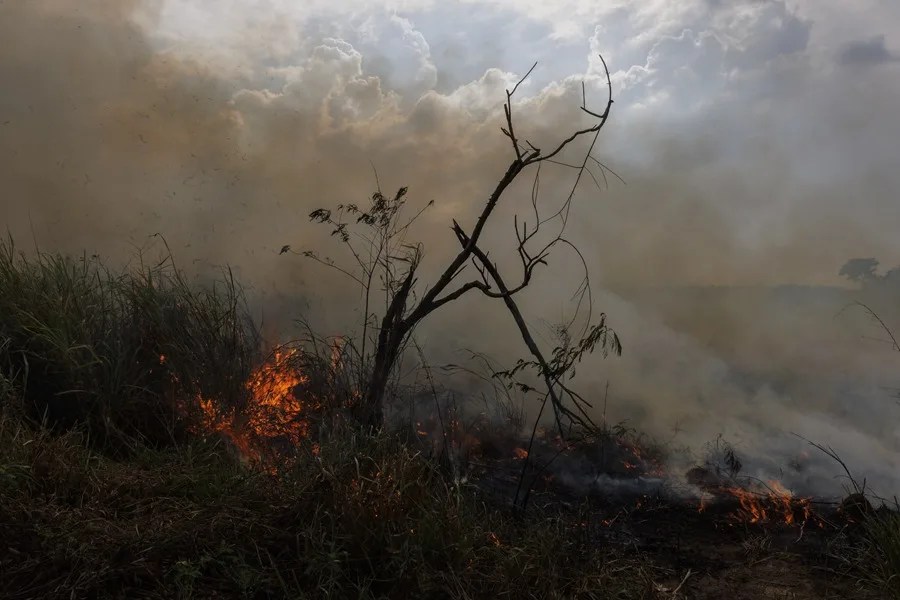 Quemas controladas y un clima más ameno: cómo Brasil redujo los incendios en la Amazonía