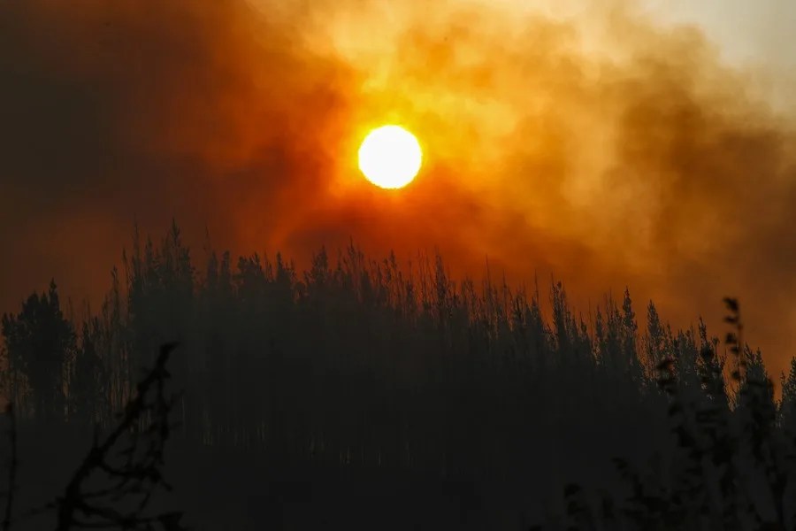 PSOE MOCION EMERGENCIA CLIMATICA