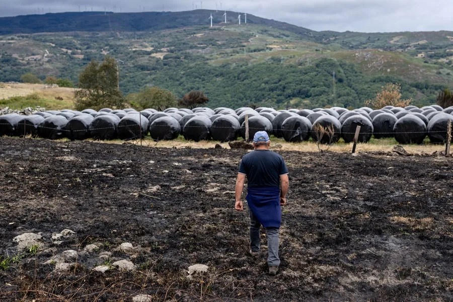 INCENDIOS FORESTALES