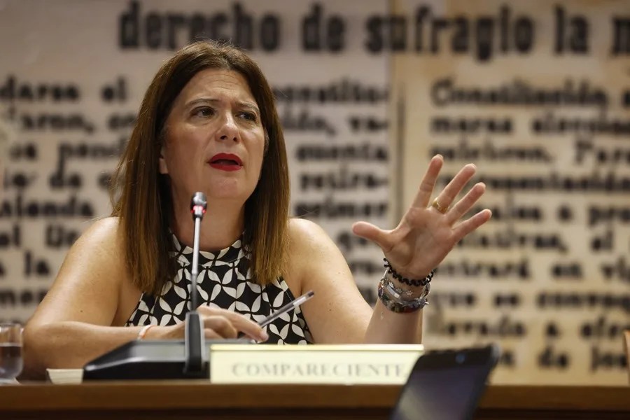 Leire Díez PSOE Koldo