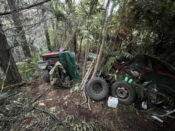 Campamento en el que el padre neozelandés Tom Philips se refugió junto a sus tres hijos