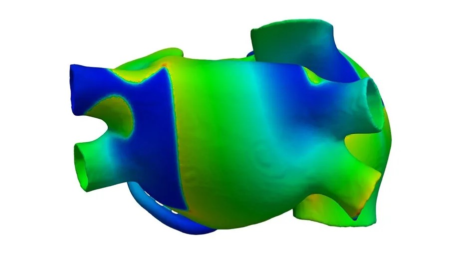 El corazón hay que cuidarlo en todas las etapas de la vida