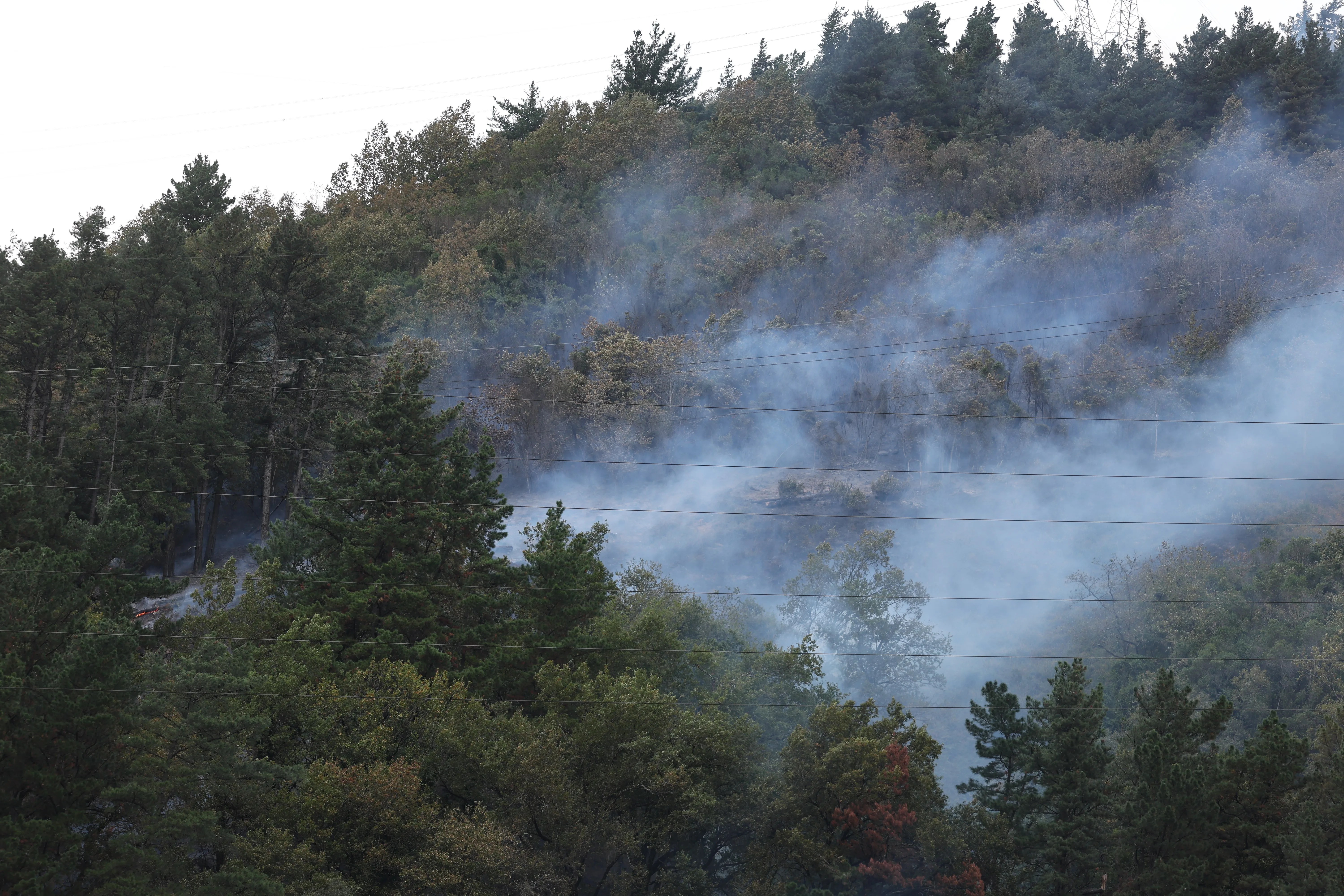 Incendio forestal declarado en la localidad vizcaína de Güeñes. EFE/Luis Tejido