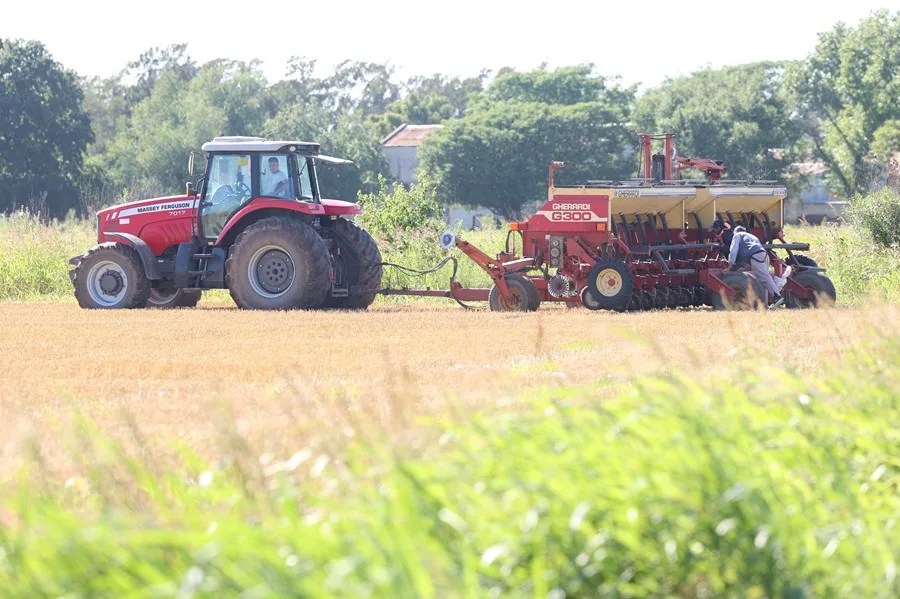 Fotografía de archivo de personas trabajando en un campo sembrado en la provincia de Santa Fe (Argentina). EFE/ Juan Ignacio Roncoroni