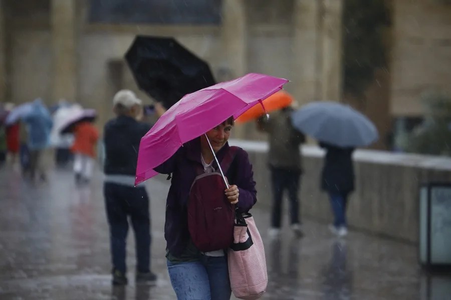 Una mujer intenta mantener su paraguas abierto bajo una intensa lluvia con viento en el Puente Romano de Córdoba