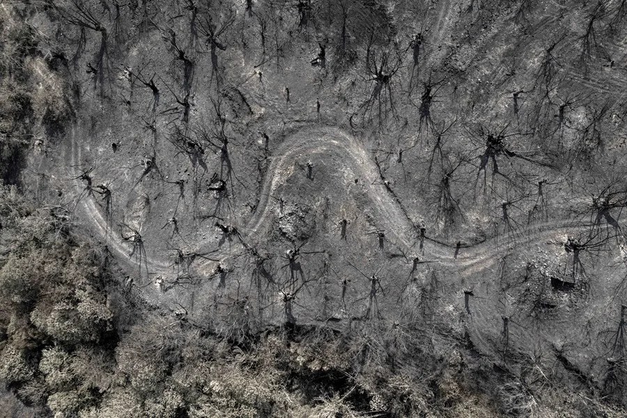 Superficie calcinada por el peor incendio de la historia de Galicia, el de Larouco (Ourense)