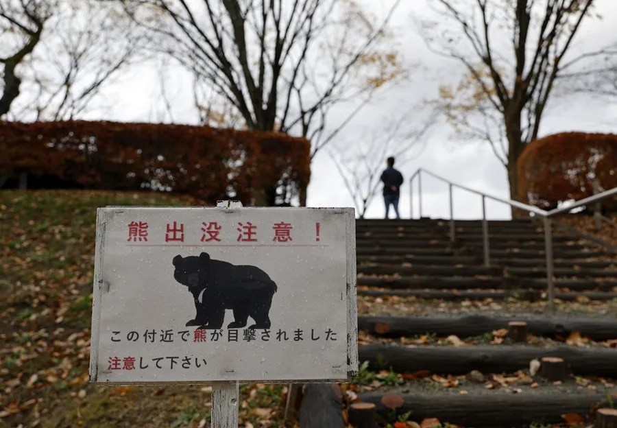 Japón emprende una batalla frente a los ataques de osos