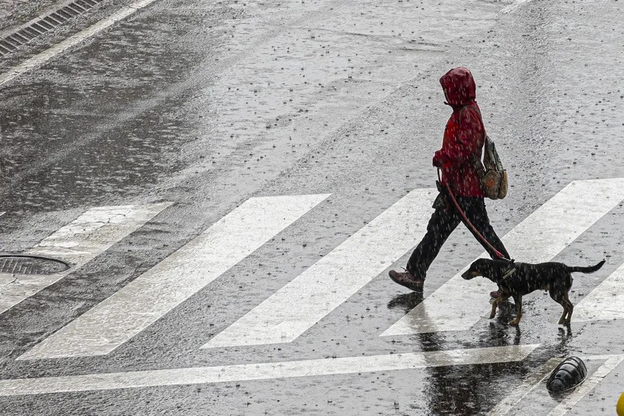 Una mujer cruza una calle durante la tormenta registrada este miércoles en Zaragoza.