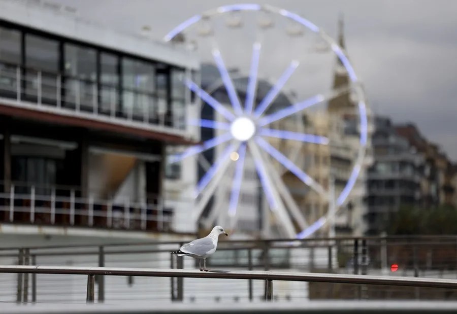 Una gaviota se posa en la pasarela del Club Náutico de San Sebastián.