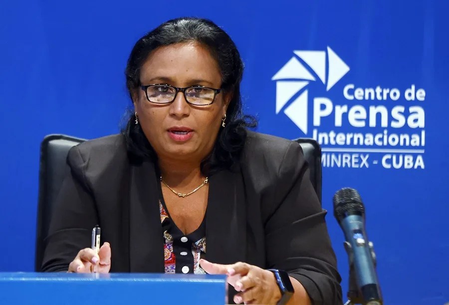 La viceministra de Salud de Cuba, Carilda Peña, habla durante una rueda de prensa en la sede del Centro de Prensa Internacional (CPI) este viernes, en La Habana (Cuba). EFE/ Ernesto Mastrascusa